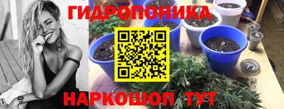 винт Нарткала