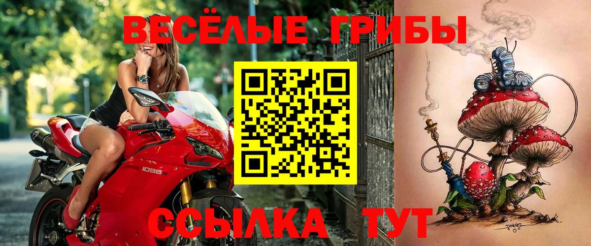Галлюциногенные грибы Magic Shrooms  Вход с VPN  Шарыпово  Галлюциногенные грибы мухоморы 