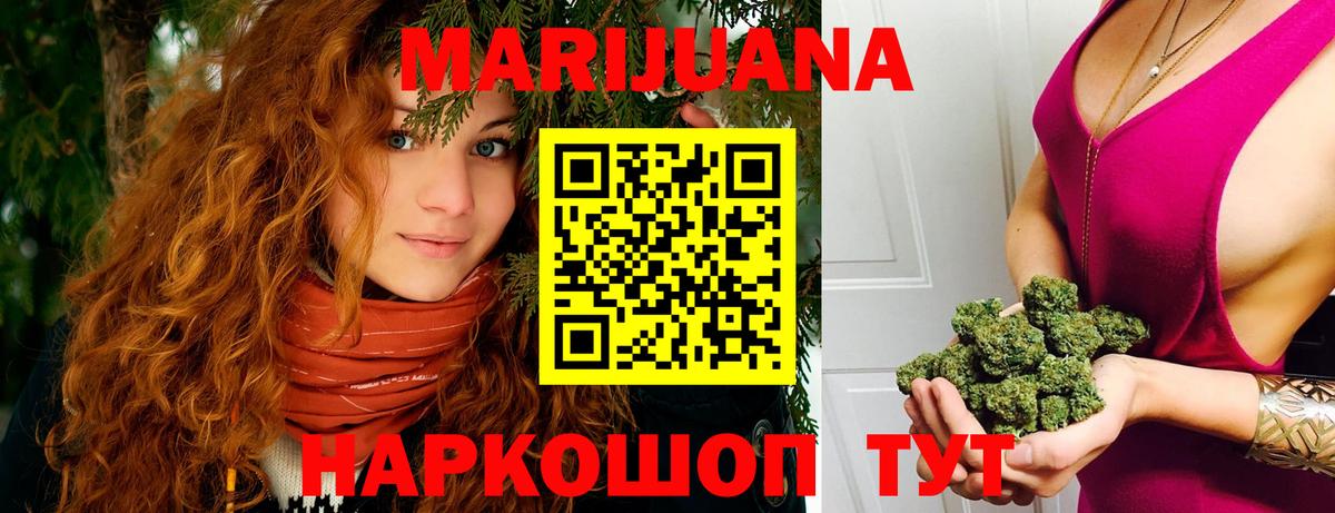 Конопля сатива Шарыпово